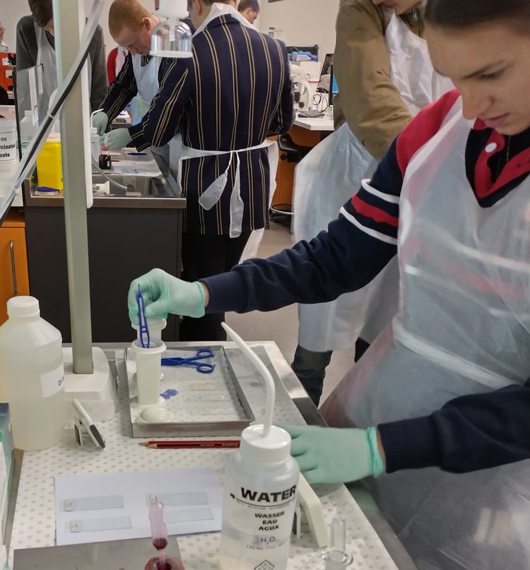 Student conducting science experiment