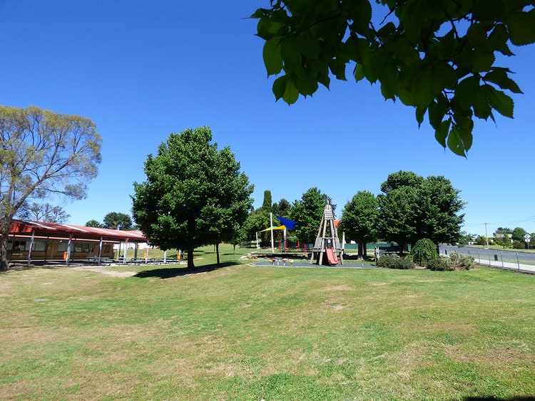 Walcha Central School primary playground with spring shrubs and equipment